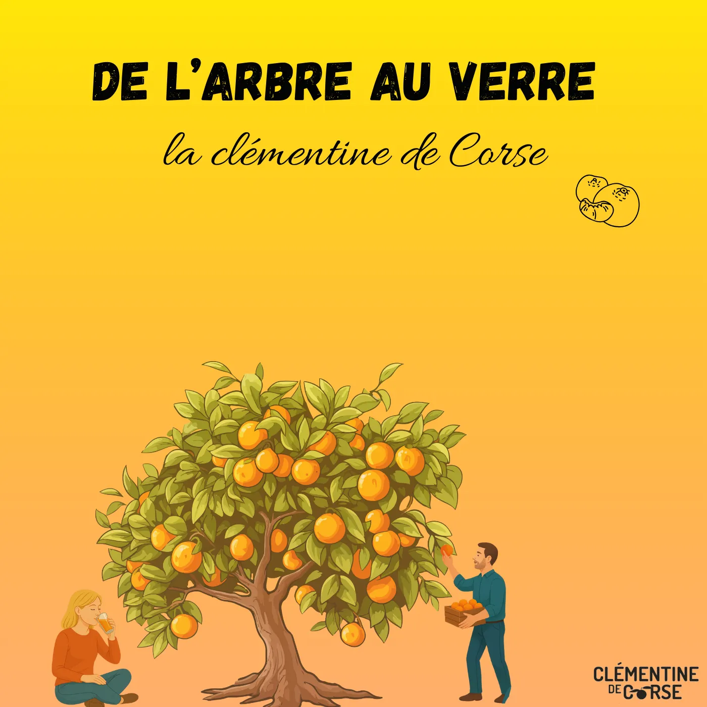 Clémentine de Corse